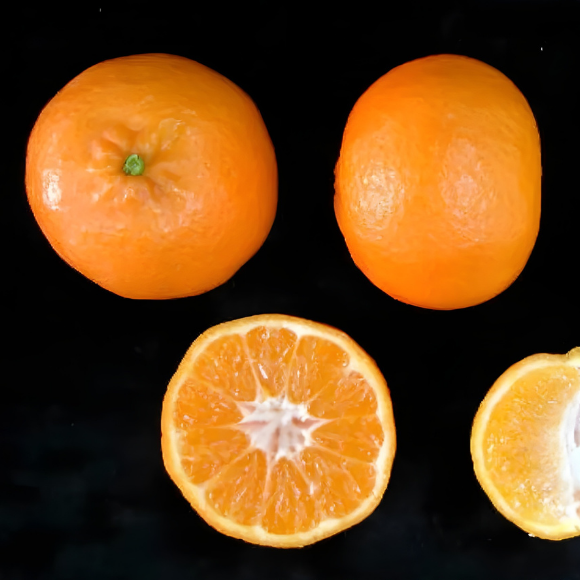 Imagem Fruto da Tangerina Clemenules