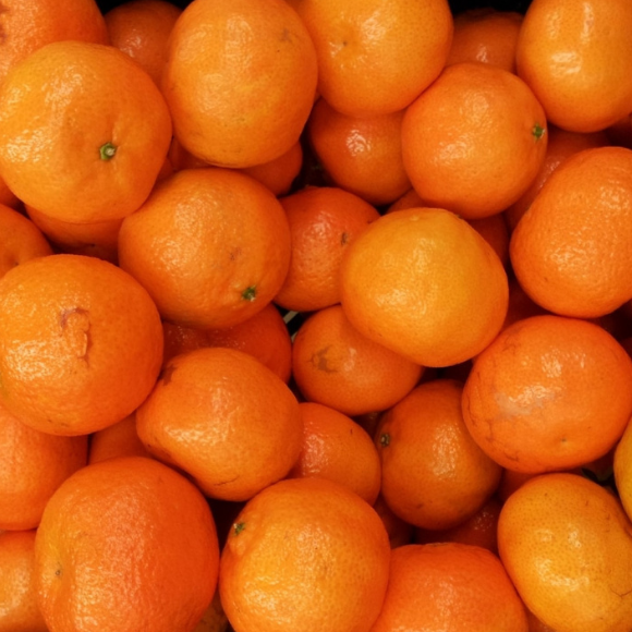 Imagem Fruto da Tangerina Clemenules