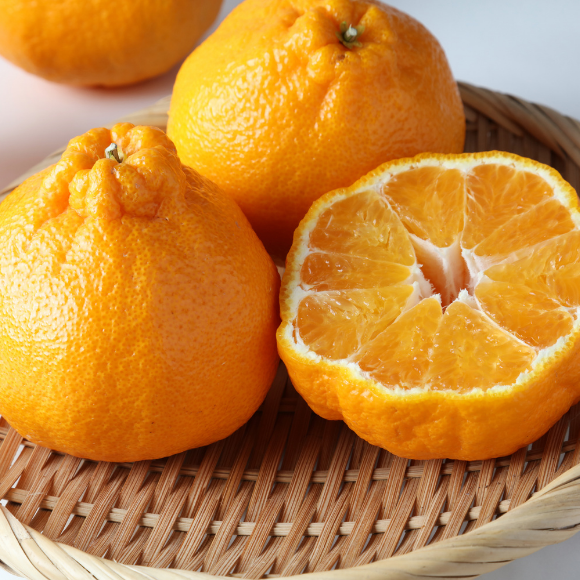 Imagem Fruto da Tangerina Dekopon