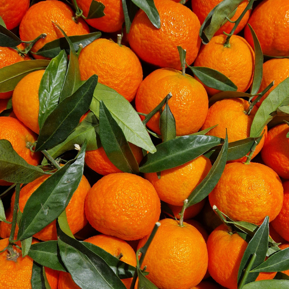 Imagem Fruto da Tangerina Ortanique