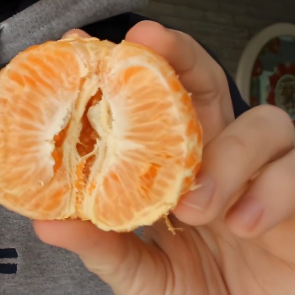 Imagem Fruto da Tangerina Piemonte