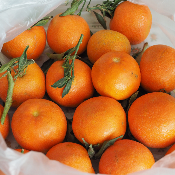 Imagem Fruto da Tangerina Piemonte