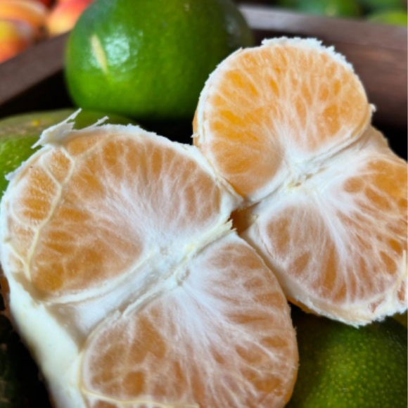 Imagem Fruto da Tangerina Satsuma Okitsu