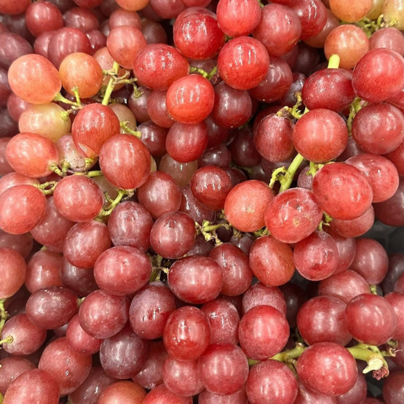 Imagem Fruto da Uva Benitaka