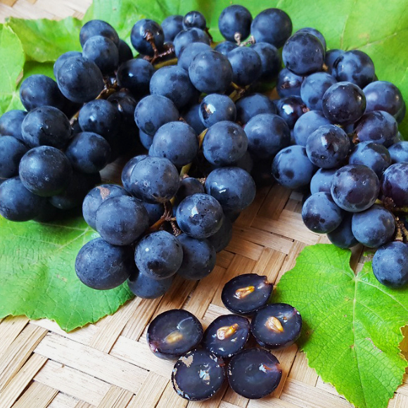 Imagem Fruto da Uva Isabel