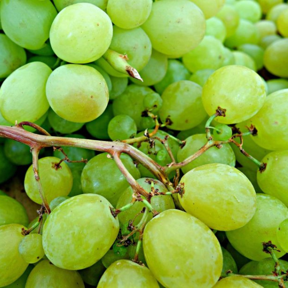 Imagem Fruto da Uva Itália