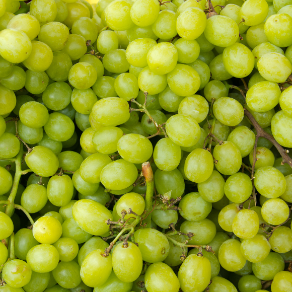 Imagem Fruto da Uva Itália