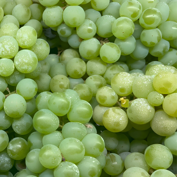Imagem Fruto da Uva Ni&aacute;gara Branca