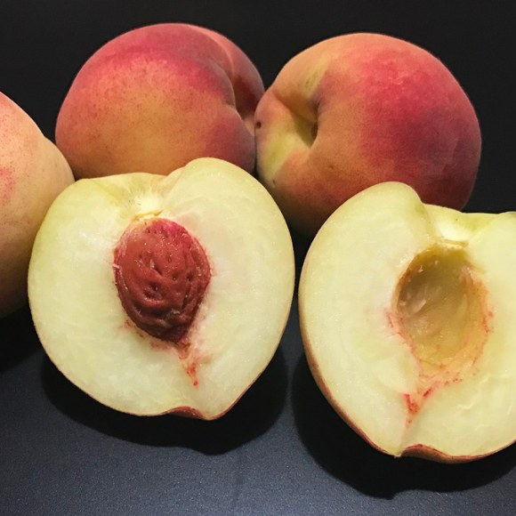 Imagem Fruto do P&ecirc;ssego Chimarrita