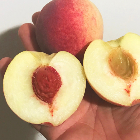 Imagem Fruto do P&ecirc;ssego Chimarrita