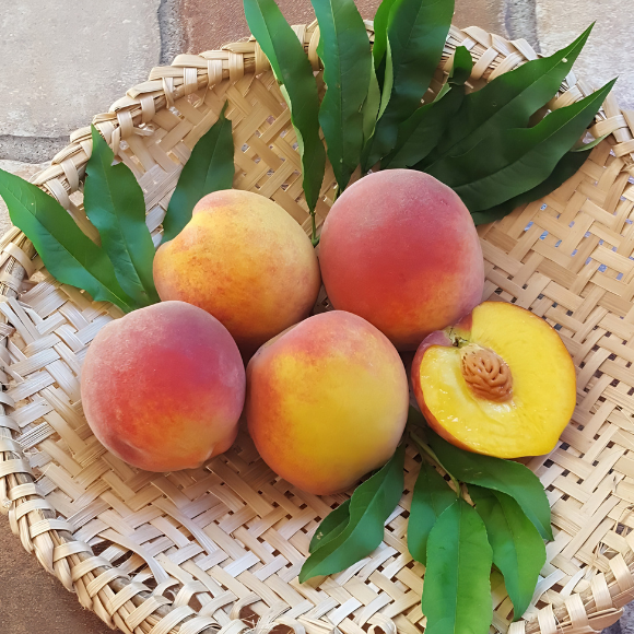 Imagem Fruto do P&ecirc;ssego Dourad&atilde;o