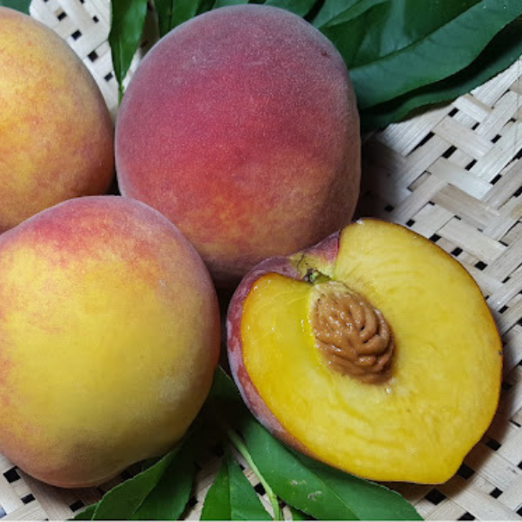Imagem Fruto do P&ecirc;ssego Dourad&atilde;o