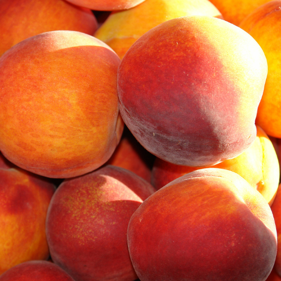 Imagem Fruto do P&ecirc;ssego Dourad&atilde;o