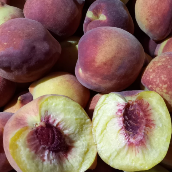 Imagem Fruto do P&ecirc;ssego Eragil