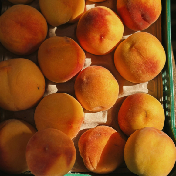 Imagem Fruto do P&ecirc;ssego Precocinho