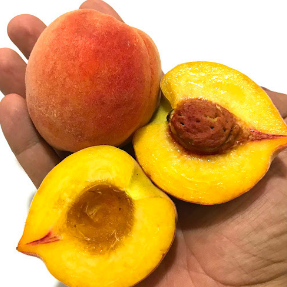 Imagem Fruto do P&ecirc;ssego Rubimel