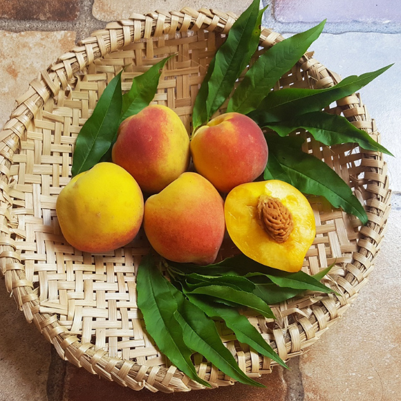 Imagem Fruto do P&ecirc;ssego Aurora