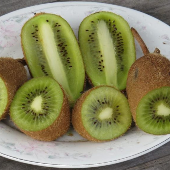 Imagem Fruto da Kiwi Bruno