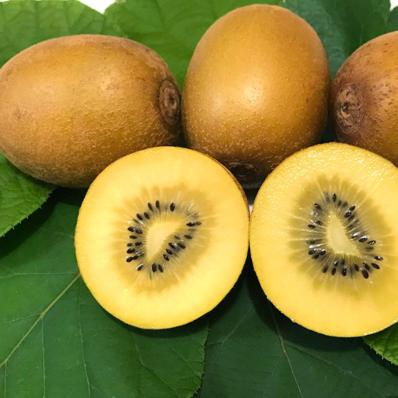 Imagem Fruto da Kiwi Golden