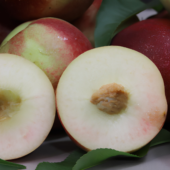 Imagem Fruto da Nectarina Branca Cathy