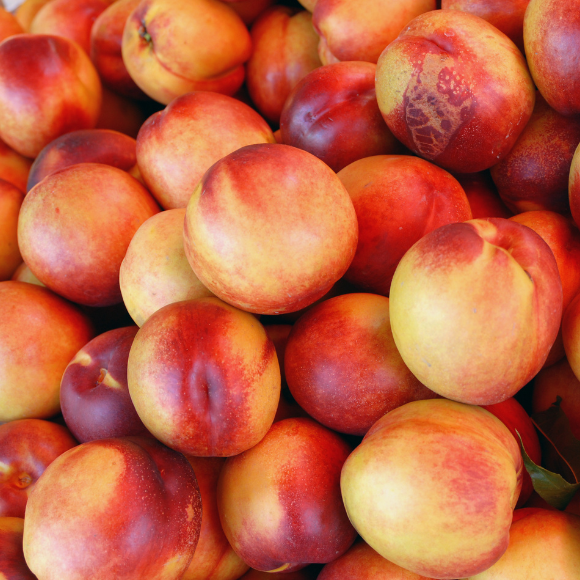 Imagem Fruto da Nectarina Branca Cathy