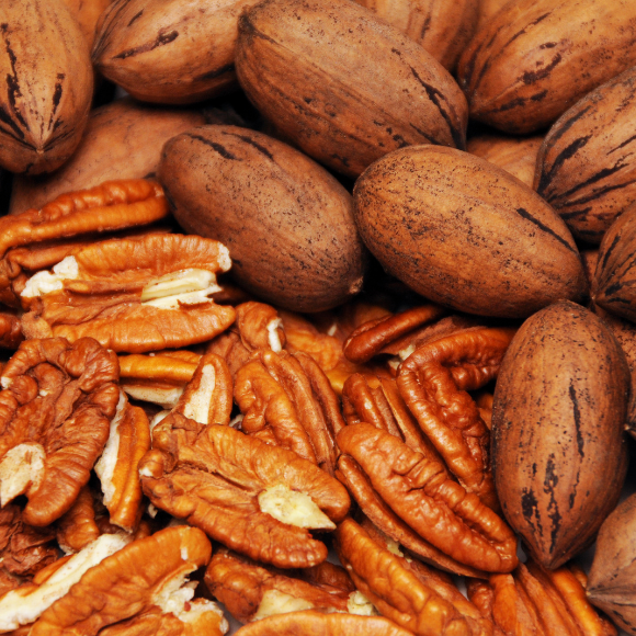 Imagem Fruto da Noz Pec&atilde; Imperial