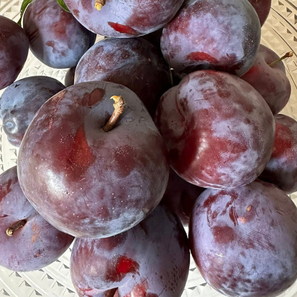 Imagem Fruto da Ameixa Santa Rosa