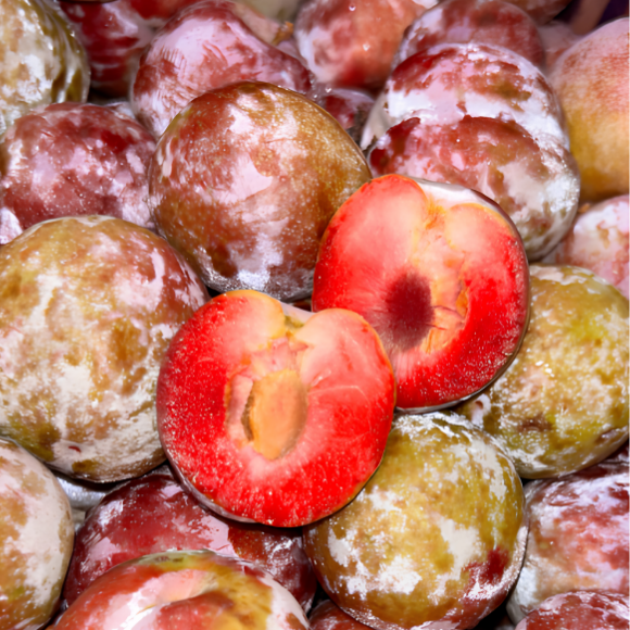 Imagem Fruto da Ameixa Pluma 7