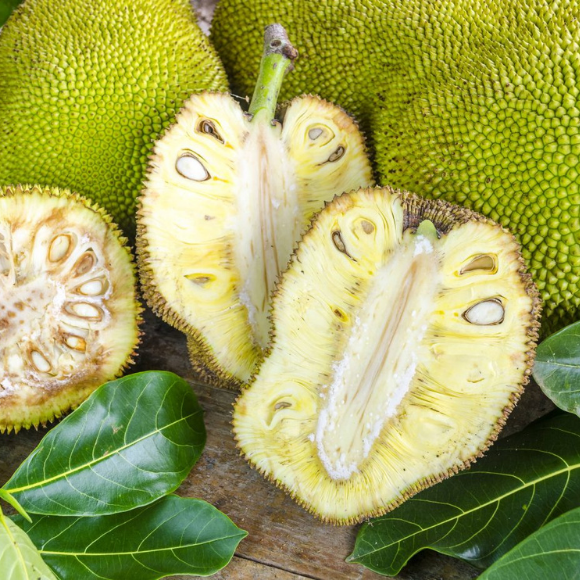 Imagem Fruto da Fruta P&atilde;o