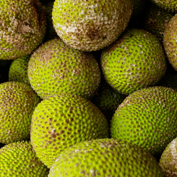Imagem Fruto da Fruta P&atilde;o