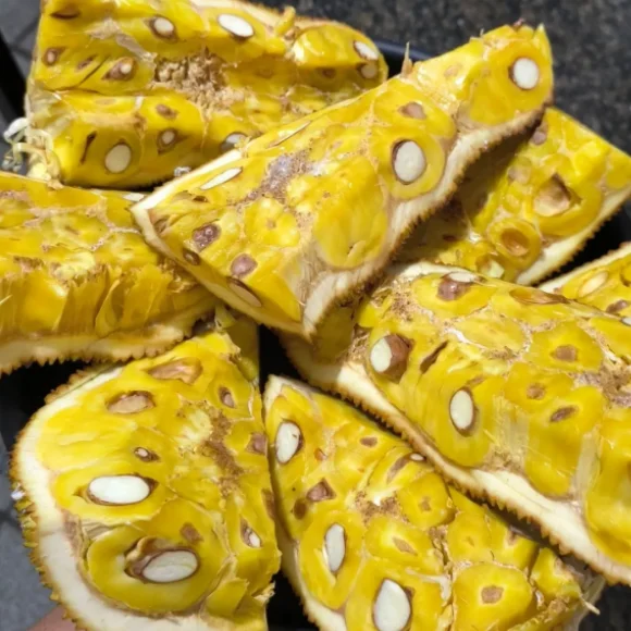 Imagem Fruto da Jaca Dura