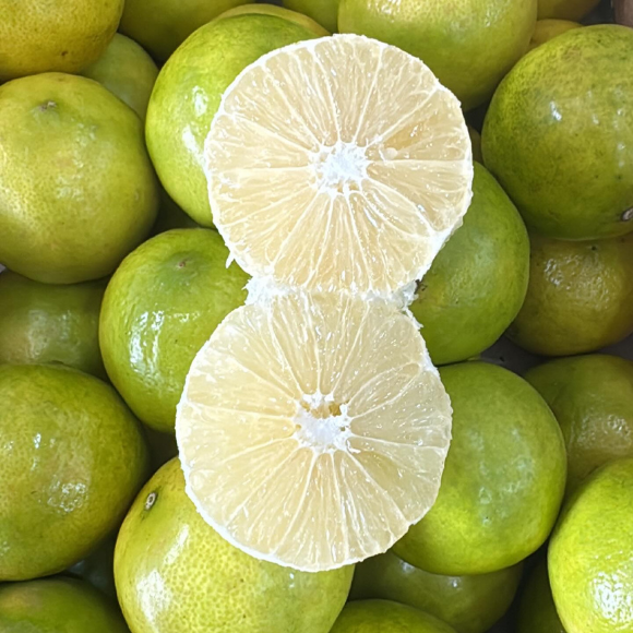 Imagem Fruto da Lima da Pérsia