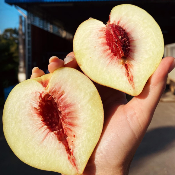 Imagem Fruto do P&ecirc;ssego Barbosa