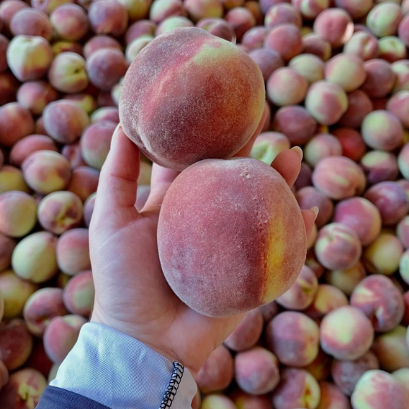 Imagem Fruto do P&ecirc;ssego Fasc&iacute;nio