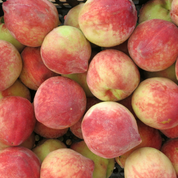 Imagem Fruto do P&ecirc;ssego Fasc&iacute;nio