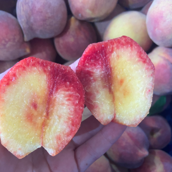 Imagem Fruto do P&ecirc;ssego Roxo