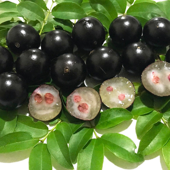 Imagem Fruto da Jabuticaba Sabar&aacute;