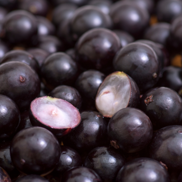 Imagem Fruto da Jabuticaba Sabar&aacute;