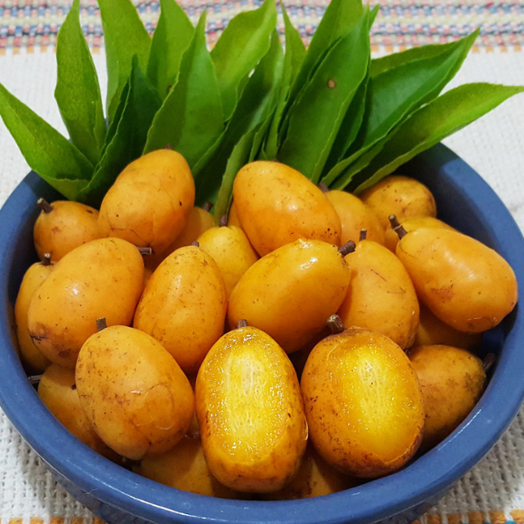 Imagem Fruto da Caj&aacute; Mirim