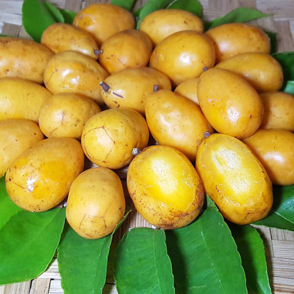 Imagem Fruto da Caj&aacute; Mirim